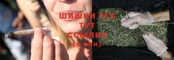 ECSTASY Белокуриха