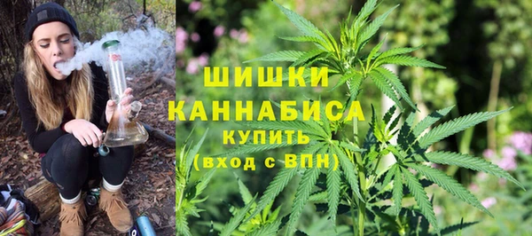 ECSTASY Белокуриха
