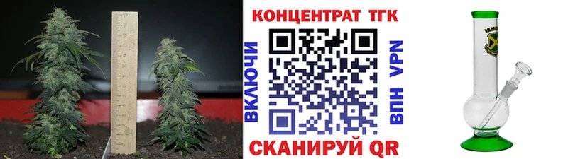 ТГК Wax  цена   Баксан 