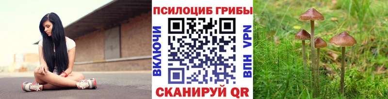 Псилоцибиновые грибы мухоморы  KRAKEN зеркало  Баксан 